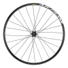 Ruota Anteriore Mavic Aksium Disc 19