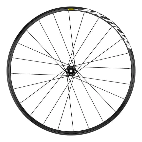 Ruota Anteriore Mavic Aksium Disc 19