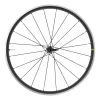 Ruota Posteriore Mavic Cosmic Elite UST Per Tubeless Nucleo Shimano 11V