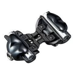 Reggisella Ritchey WCS